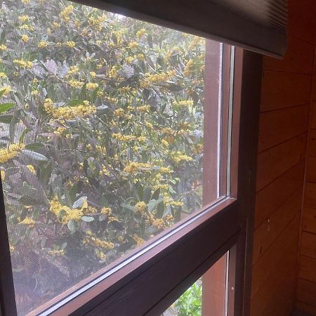 Apartamentos El Bosquet サン・クガ・デル・バリェス エクステリア 写真